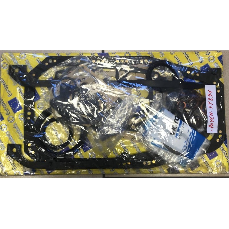 KIT COMPLETO GUARNIZIONI MOTORE EUROPEAN GASKETS FY291